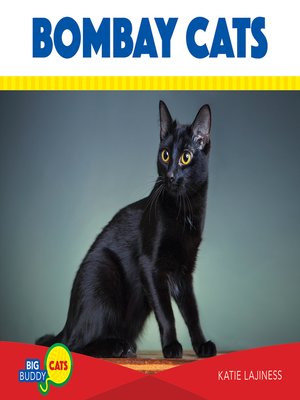 cover image of Bombay Cats